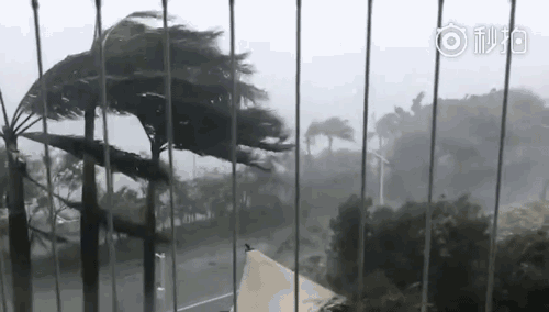 新凱驪門窗—南方和北方在門窗選擇上的差異 新凱驪門窗—南方和北方在門窗選擇上的差異