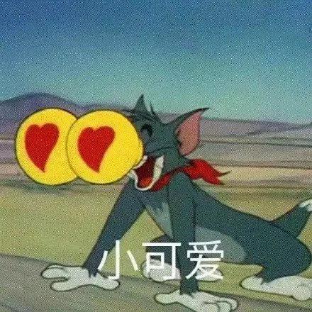 貓和老鼠表情包 貓和老鼠表情包