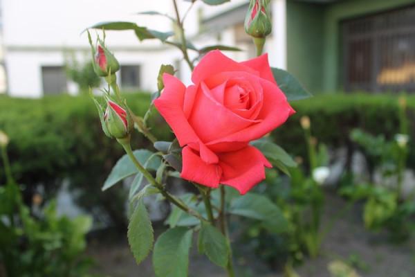 天秤座運勢9.20-26,更關注經濟的重要性,渴望獲得更好的生活 天秤座運勢9.20-26,更關注經濟的重要性,渴望獲得更好的生活