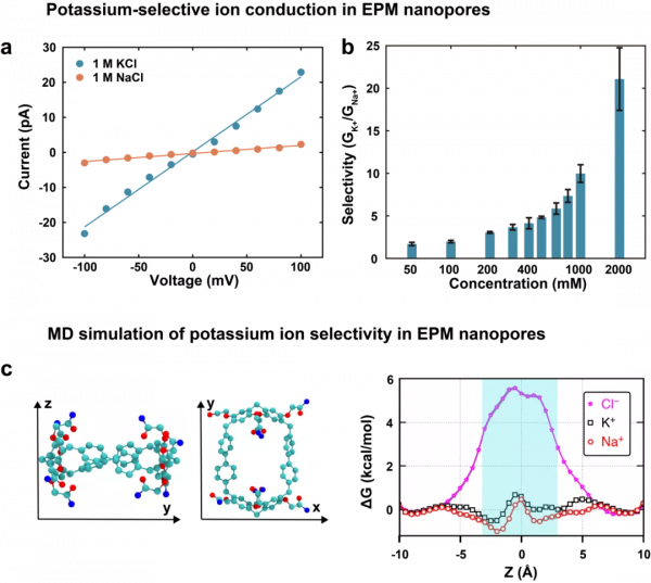 浙江大學馮建東課題組：穩定的大環分子奈米孔離子傳導器件