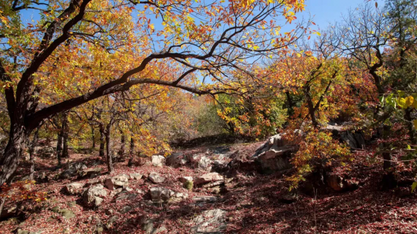 入冬了,這裡也終於到了最美的時候! 入冬了,這裡也終於到了最美的時候!