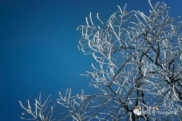 原來江南也有如此夢幻霧凇 原來江南也有如此夢幻霧凇