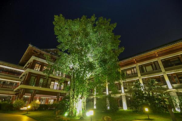 廣東旅行,發現一座“禪修酒店”,造型像古代宮殿,建築大有來頭 廣東旅行,發現一座“禪修酒店”,造型像古代宮殿,建築大有來頭