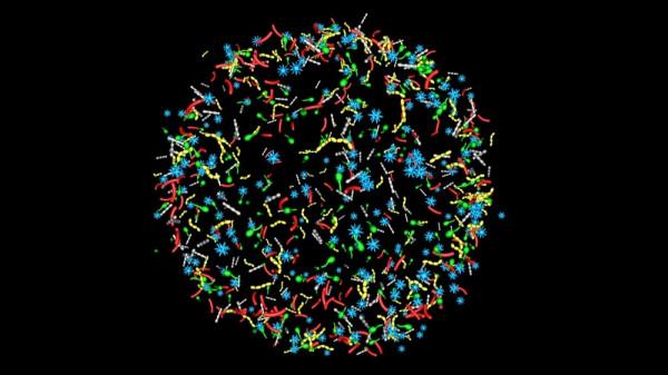 微生物組的轉化之路怎麼走?瞧瞧這家機構 微生物組的轉化之路怎麼走?瞧瞧這家機構