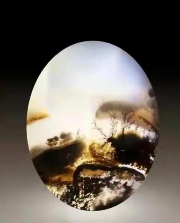 海洋精靈（下）