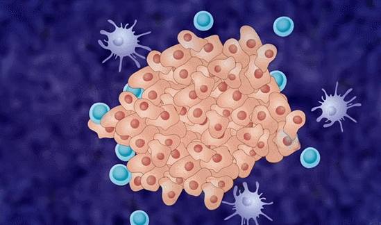 “擊垮”一個家庭的白血病,如今有可以讓癌細胞“清零”的新療法 “擊垮”一個家庭的白血病,如今有可以讓癌細胞“清零”的新療法