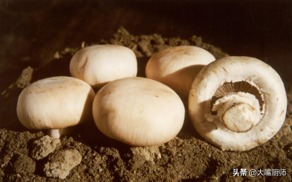 唯一能提供維D的蔬菜,營養又鮮美,多給老人孩子吃,就是有點貴 唯一能提供維D的蔬菜,營養又鮮美,多給老人孩子吃,就是有點貴