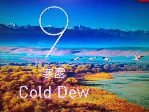 2022北京冬奧會開幕式上的美麗精靈