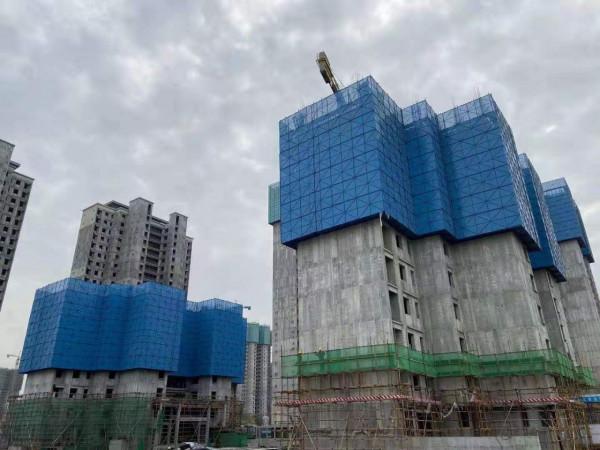 什麼樣的爬架網使用效果比較好 什麼樣的爬架網使用效果比較好