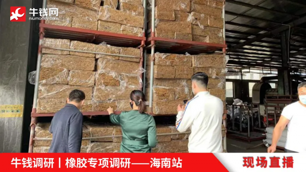 牛錢調研 | 海南橡膠專項調研第四天