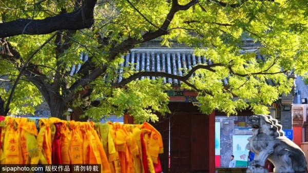 北京附近竟藏了一條絕美國道，沿途盡是美景！賞紅葉正好！