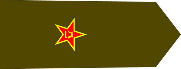 歷史上的解放軍軍裝（二）：85式軍裝服飾的講解，老兵！請入列