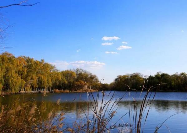 大美秋天—北京真好 大美秋天—北京真好