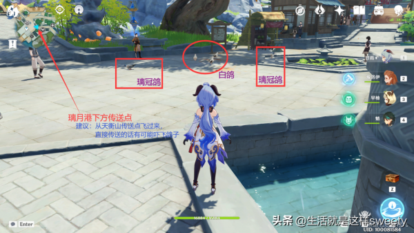 原神四方之網可捕捉小動物位置彙總一覽