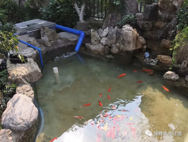 你家和最美庭院之間,只差一個魚池的距離 你家和最美庭院之間,只差一個魚池的距離