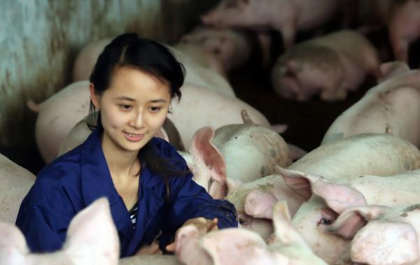 農村窮姑娘,辭職養豬,把2.1萬,變成362萬,成村裡首富,為啥 農村窮姑娘,辭職養豬,把2.1萬,變成362萬,成村裡首富,為啥