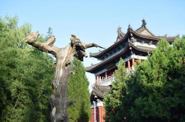 山水秦嶺 | 千年銀杏黃啦!來樓觀坐擁720°最美秋光 山水秦嶺 | 千年銀杏黃啦!來樓觀坐擁720°最美秋光