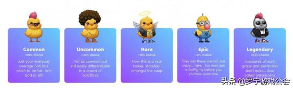 養小雞也能賺大米，SolChicks讓你實現打金自由