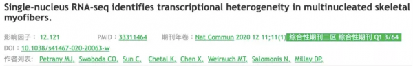 玩轉單細胞測序｜肌肉組織研究思路大揭秘