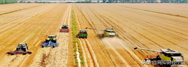 中國五大種植業企業 中國五大種植業企業
