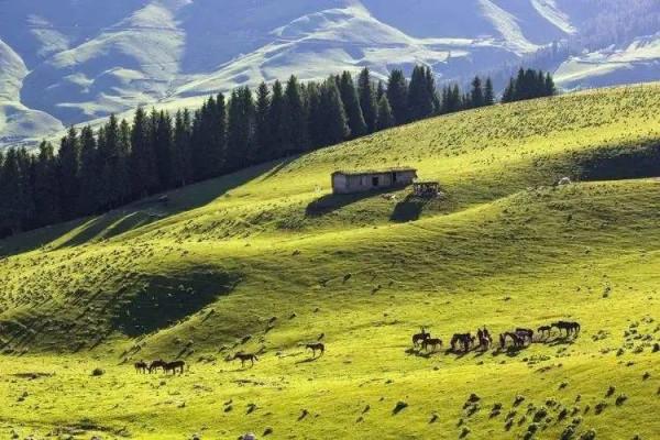 美！外國人眼裡最羨慕的中國美景，你都去過嗎？