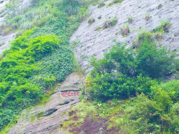 我的旅程日記：武夷山之旅D2漫遊茶骨花香漫遊道