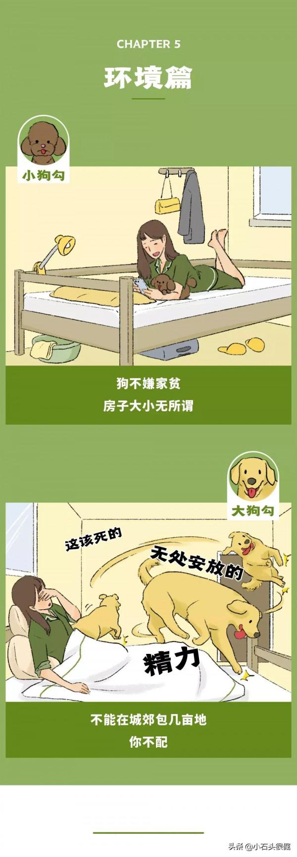 養大狗和小狗的區別(漫畫) 養大狗和小狗的區別(漫畫)