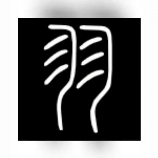 漢語中的“隹”字（3）