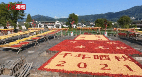 億萬中國農民,節日快樂 億萬中國農民,節日快樂