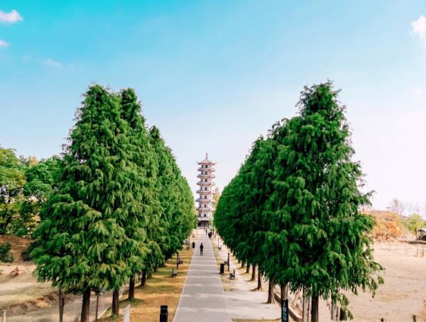 鹽城：沒有一座山的城市，海拔8米，土坡都少見