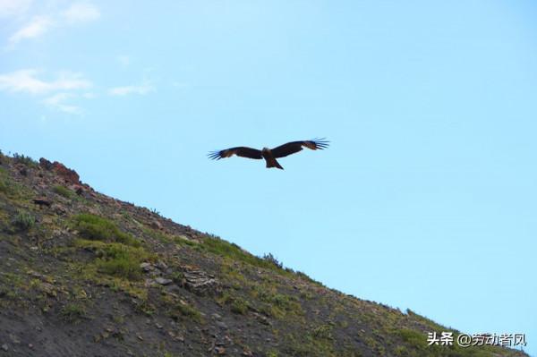 大唐小唐歷險記—行獨庫公路，遇險山峻嶺，刺激而美好