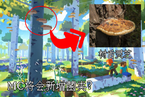 我的世界:1.19荒野會更新啥?藝術畫暗藏玄機,高大樺木群系升級 我的世界:1.19荒野會更新啥?藝術畫暗藏玄機,高大樺木群系升級