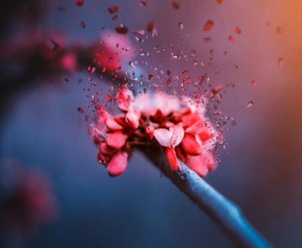 有本事,卻很低調的星座,表面沉默寡言,實際上有手段 有本事,卻很低調的星座,表面沉默寡言,實際上有手段