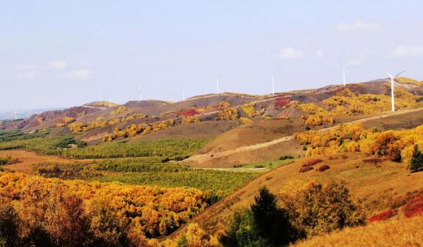 烏蘭布統的迷人秋色