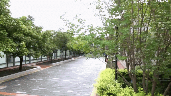 國內首家！海淀清河北岸，新添一處“網紅打卡地”