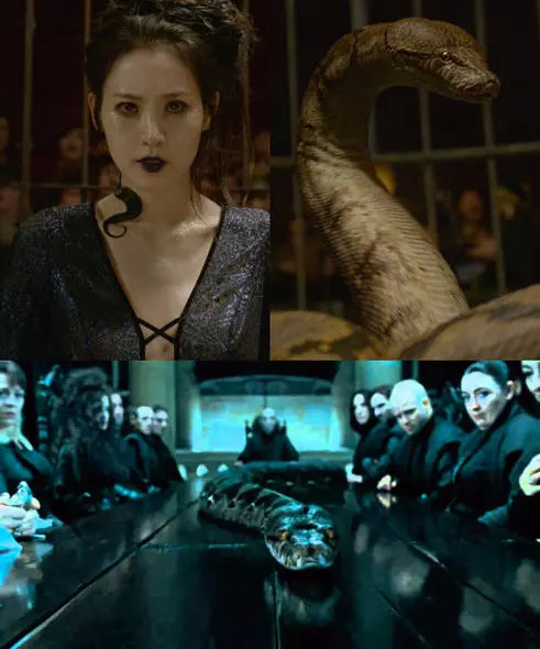 《哈利波特》納吉尼為什麼會死心塌地地跟著伏地魔? 《哈利波特》納吉尼為什麼會死心塌地地跟著伏地魔?