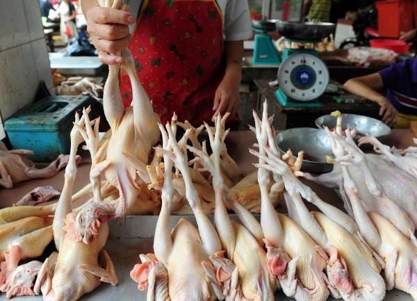 珠三角白蝦漲不停，肉雞進退兩難，大閘蟹一跌不起，豬價如何？