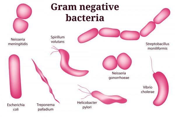 3個第一,一窺合成生物學公司如何操縱微生物組 3個第一,一窺合成生物學公司如何操縱微生物組
