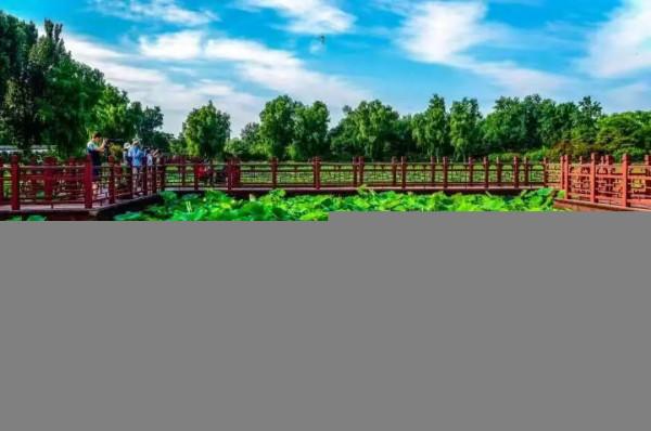 邀您共賞!那些藏在荷花裡的詩 邀您共賞!那些藏在荷花裡的詩