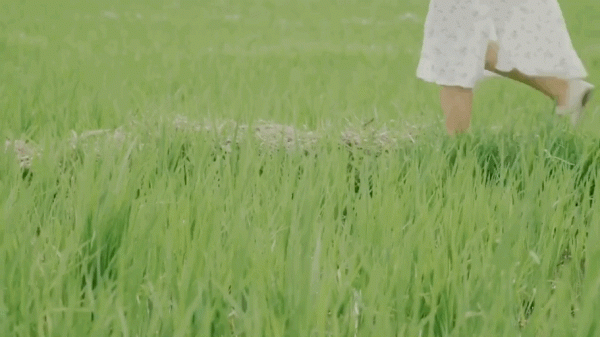 2000塊租下200平小院！27歲女孩獨居大理6年：做自己真的太好了