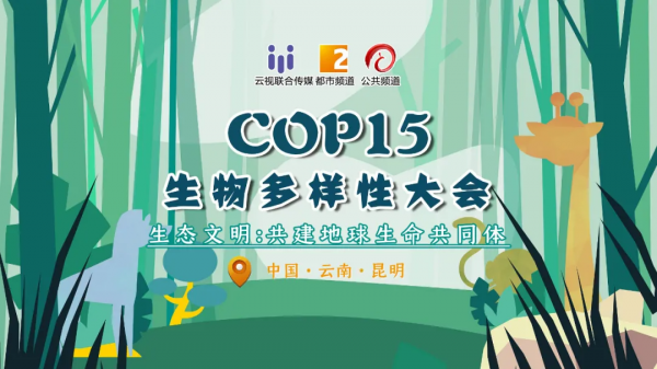 曾在野外滅絕百年,如今在雲南深山怒放!這些美麗又瀕危的花,你認識幾種? 曾在野外滅絕百年,如今在雲南深山怒放!這些美麗又瀕危的花,你認識幾種?