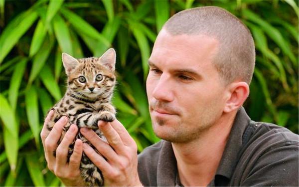 非洲最小的貓,貓科捕獵效率最高的“殺戮機器”,被全世界禁養 非洲最小的貓,貓科捕獵效率最高的“殺戮機器”,被全世界禁養