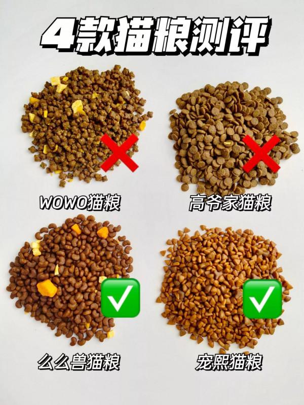球球了！！別再用這些貓糧了