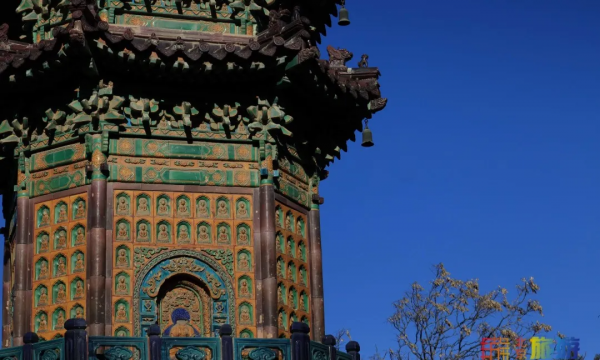 頻上熱搜！地鐵直達的冬日絕美景色！一定要來打卡！