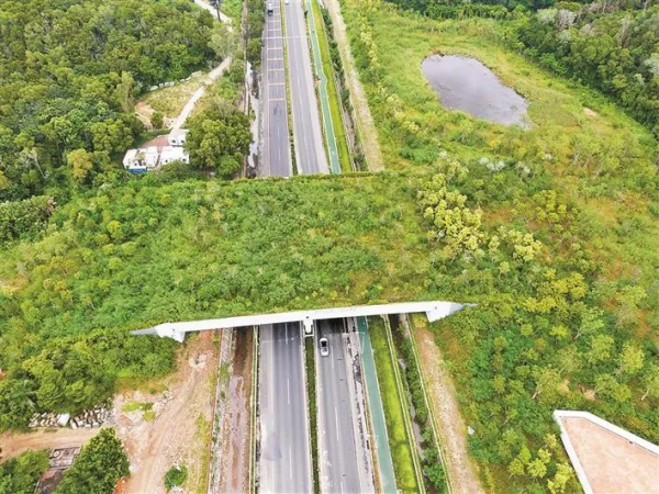 神奇動物在梯影！一起來抖音守護地球家園