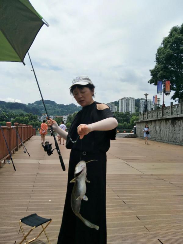 君威君臣：&OpenCurlyDoubleQuote;聯想&rdquo;釣魚人福音快到了，從允許開捕，到允許開釣