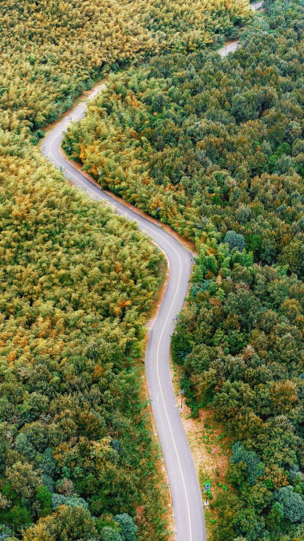 一見南京誤終身!忽然,想去金陵了 一見南京誤終身!忽然,想去金陵了