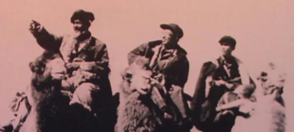 青海1954年的11張照片