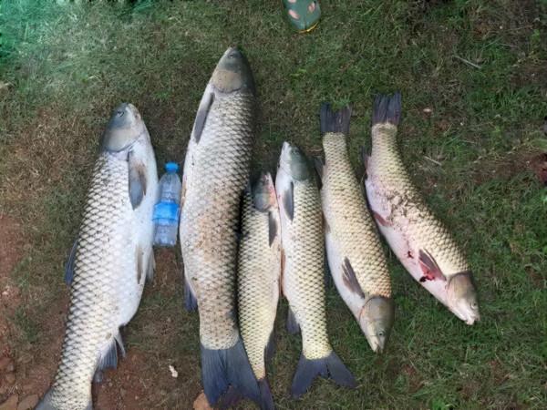 為什麼說，冬季釣魚的最佳時間段，不是清晨和中午，而是傍晚