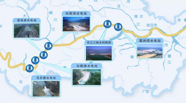 禁漁十年好！長江銷聲匿跡多年的“䲘”頻頻出水，白暨豚有救了？